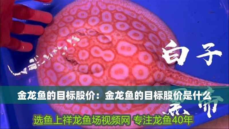 金龍魚的目標股價：金龍魚的目標股價是什么