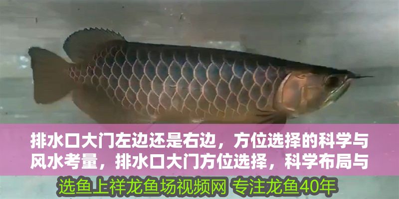 排水口大門左邊還是右邊，方位選擇的科學與風水考量，排水口大門方位選擇，科學布局與風水宜忌解析