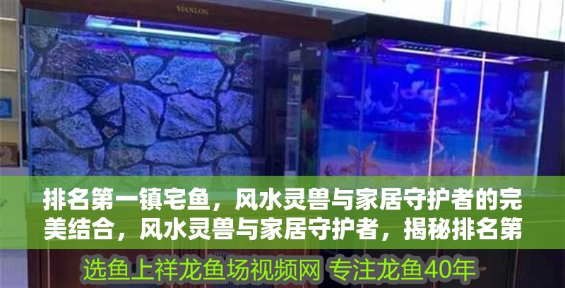 排名第一鎮宅魚，風水靈獸與家居守護者的完美結合，風水靈獸與家居守護者，揭秘排名第一的鎮宅魚
