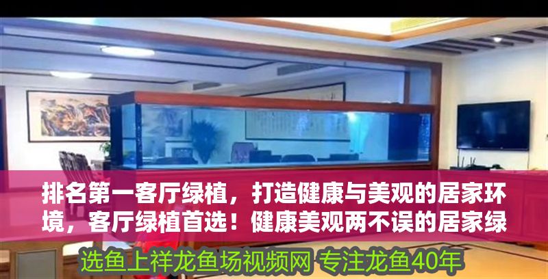 排名第一客廳綠植，打造健康與美觀的居家環境，客廳綠植首選！健康美觀兩不誤的居家綠植推薦
