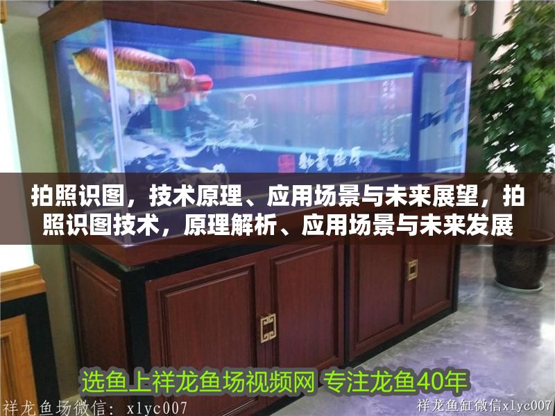 拍照識圖，技術(shù)原理、應(yīng)用場景與未來展望，拍照識圖技術(shù)，原理解析、應(yīng)用場景與未來發(fā)展趨勢