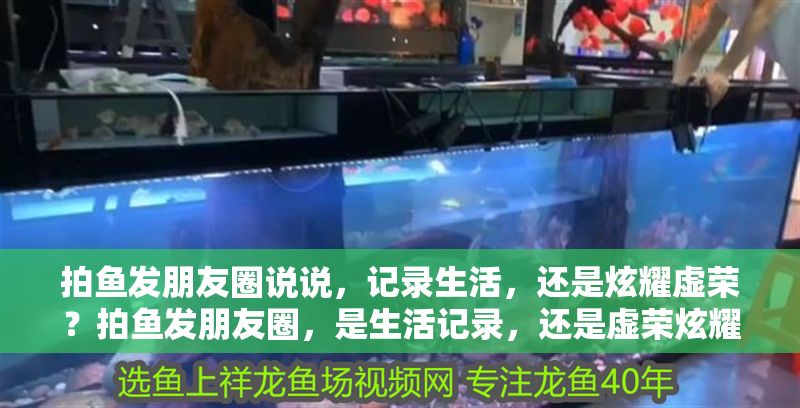 拍魚發(fā)朋友圈說說，記錄生活，還是炫耀虛榮？拍魚發(fā)朋友圈，是生活記錄，還是虛榮炫耀？