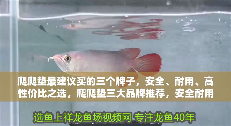 爬爬墊最建議買的三個牌子，安全、耐用、高性價比之選，爬爬墊三大品牌推薦，安全耐用又高性價比的首選