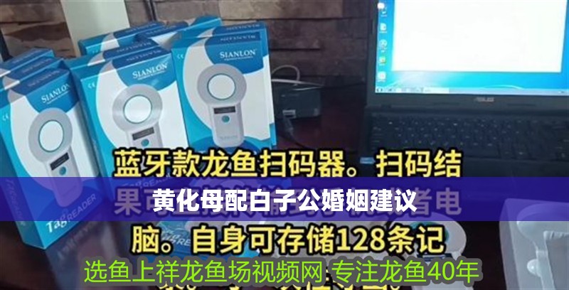 黃化母配白子公婚姻建議