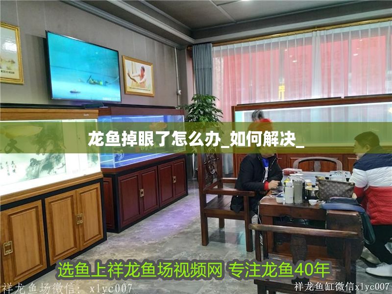 龍魚掉眼了怎么辦_如何解決_