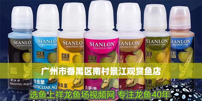 廣州市番禺區(qū)南村景江觀賞魚(yú)店