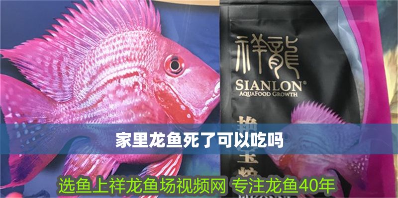 家里龍魚死了可以吃嗎