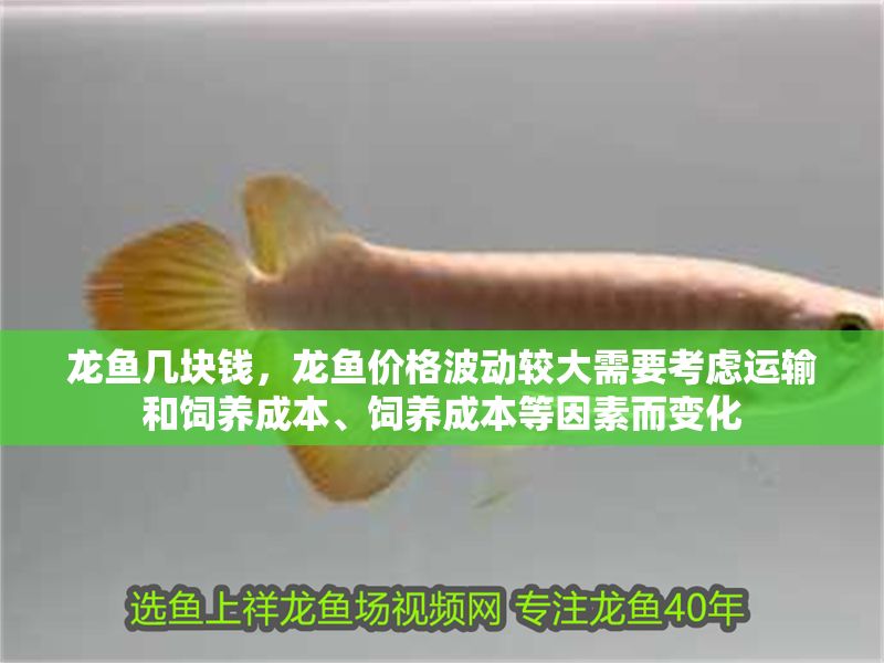 龍魚幾塊錢，龍魚價格波動較大需要考慮運輸和飼養成本、飼養成本等因素而變化