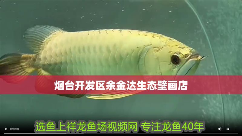 煙臺開發區余金達生態壁畫店