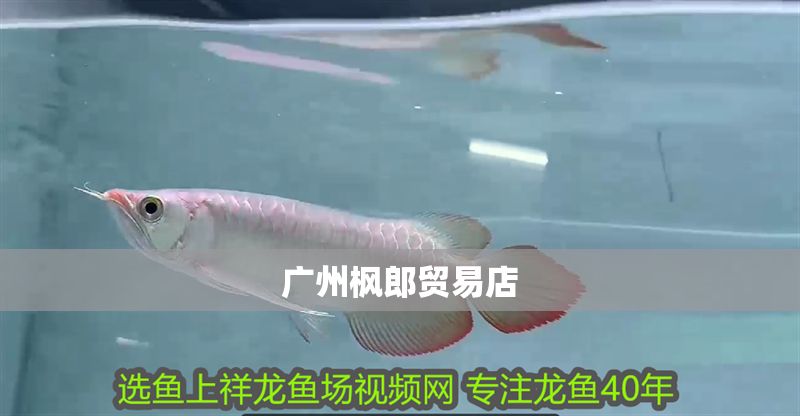 廣州楓郎貿(mào)易店