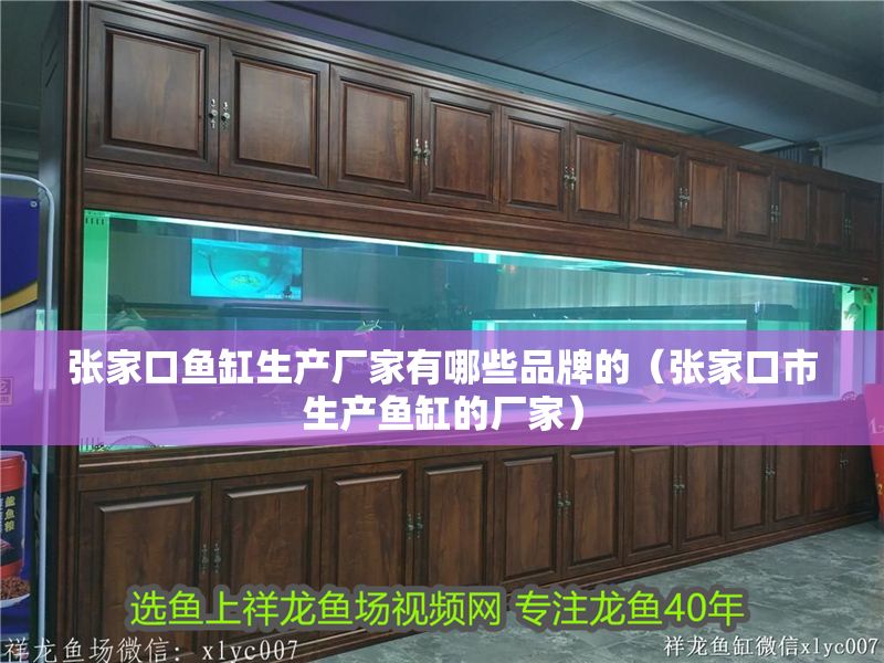 張家口魚缸生產廠家有哪些品牌的（張家口市生產魚缸的廠家）
