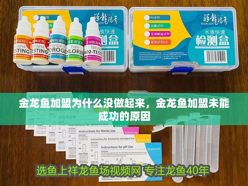 金龍魚加盟為什么沒做起來，金龍魚加盟未能成功的原因