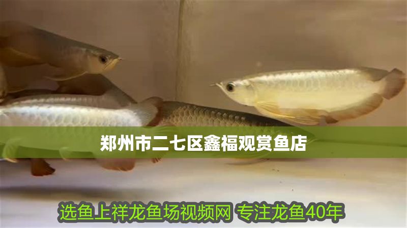 鄭州市二七區(qū)鑫福觀賞魚店 鄭州市二七區(qū)鑫福觀賞魚店 全國水族館企業(yè)名錄 第2張