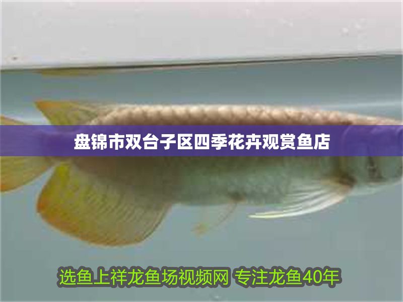 盤錦市雙臺子區(qū)四季花卉觀賞魚店