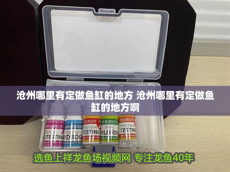 滄州哪里有定做魚缸的地方 滄州哪里有定做魚缸的地方啊 龍魚百科 第1張 滄州哪里有定做魚缸的地方 滄州哪里有定做魚缸的地方啊 滄州哪里有定做魚缸的地方 滄州哪里有定做魚缸的地方啊 龍魚百科 第1張