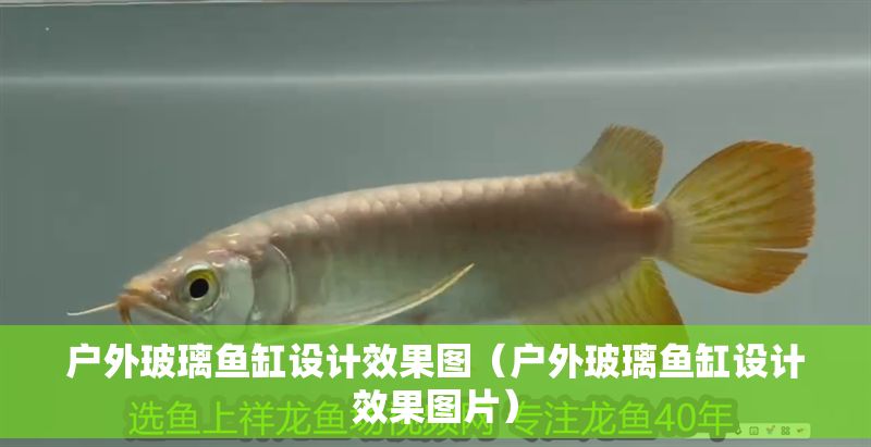 戶外玻璃魚缸設計效果圖（戶外玻璃魚缸設計效果圖片）