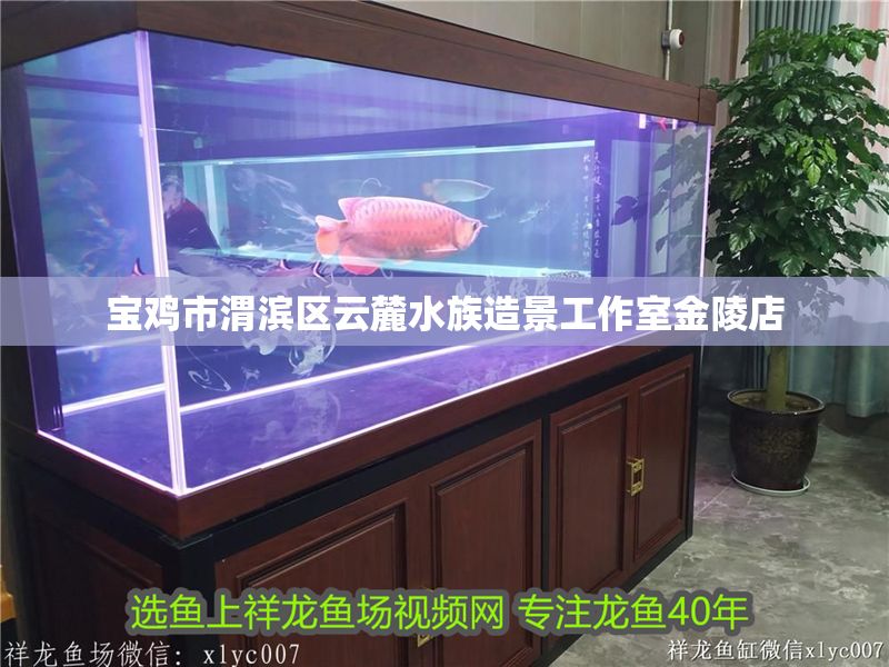 寶雞市渭濱區(qū)云麓水族造景工作室金陵店 全國(guó)水族館企業(yè)名錄 第2張 寶雞市渭濱區(qū)云麓水族造景工作室金陵店 寶雞市渭濱區(qū)云麓水族造景工作室金陵店 全國(guó)水族館企業(yè)名錄 第2張