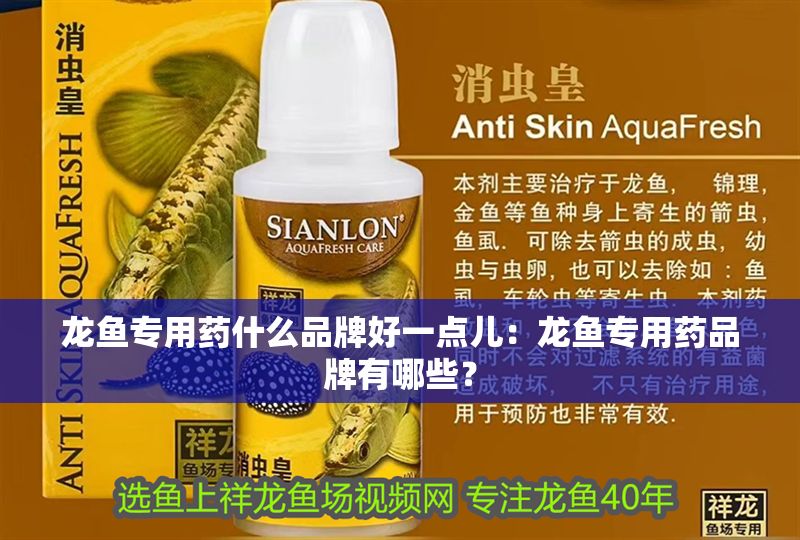 龍魚專用藥什么品牌好一點兒：龍魚專用藥品牌有哪些？