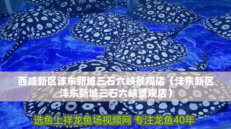 西咸新區灃東新城三石六峽景觀店（灃東新區灃東新城三石六峽景觀店）