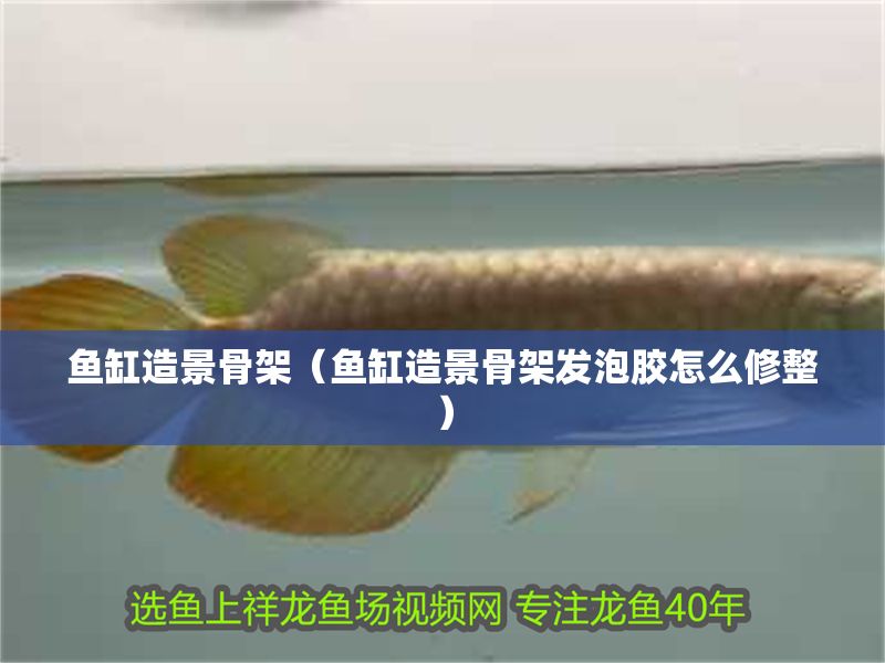 魚缸造景骨架（魚缸造景骨架發(fā)泡膠怎么修整）