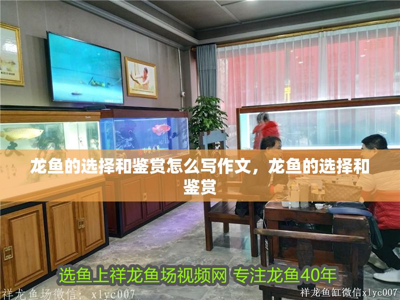 龍魚的選擇和鑒賞怎么寫作文,龍魚的選擇和鑒賞 龍魚百科 第2張 龍魚的選擇和鑒賞怎么寫作文,龍魚的選擇和鑒賞 龍魚的選擇和鑒賞怎么寫作文,龍魚的選擇和鑒賞 龍魚百科 第2張