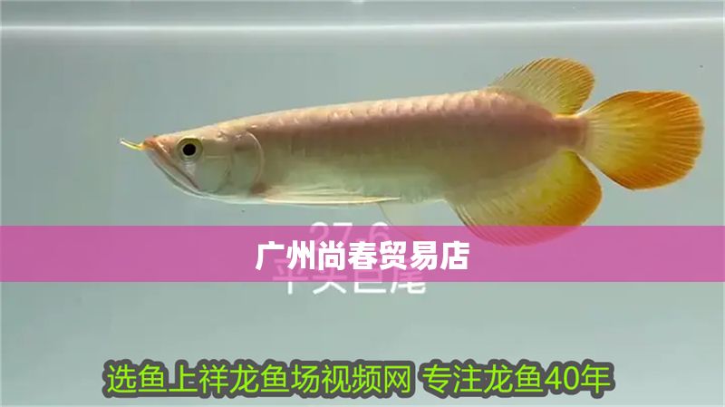 廣州尚春貿易店