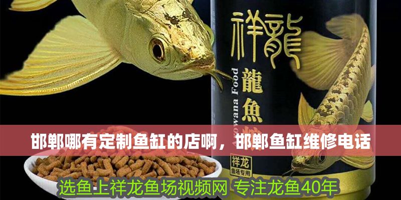 邯鄲哪有定制魚缸的店啊，邯鄲魚缸維修電話
