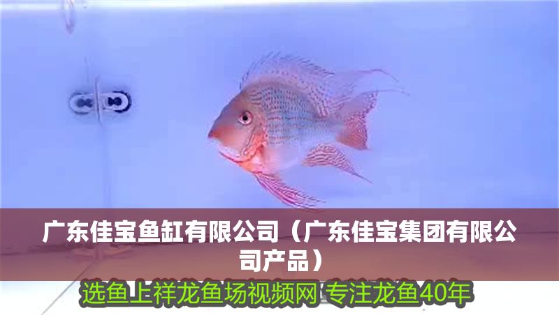 廣東佳寶魚缸有限公司（廣東佳寶集團有限公司產品）