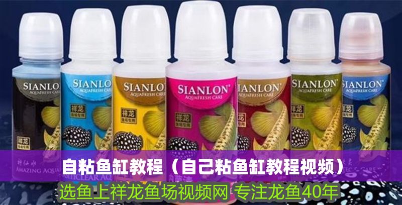 自粘魚缸教程（自己粘魚缸教程視頻）
