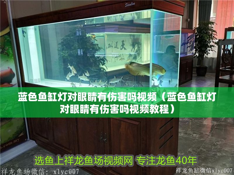 藍(lán)色魚缸燈對眼睛有傷害嗎視頻（藍(lán)色魚缸燈對眼睛有傷害嗎視頻教程）