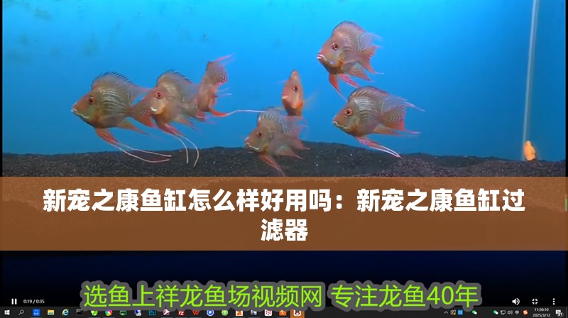 新寵之康魚缸怎么樣好用嗎：新寵之康魚缸過濾器