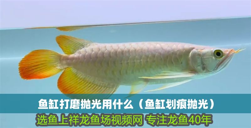 魚缸打磨拋光用什么（魚缸劃痕拋光）