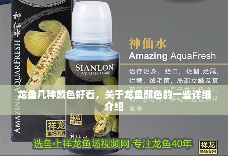 龍魚幾種顏色好看，關于龍魚顏色的一些詳細介紹