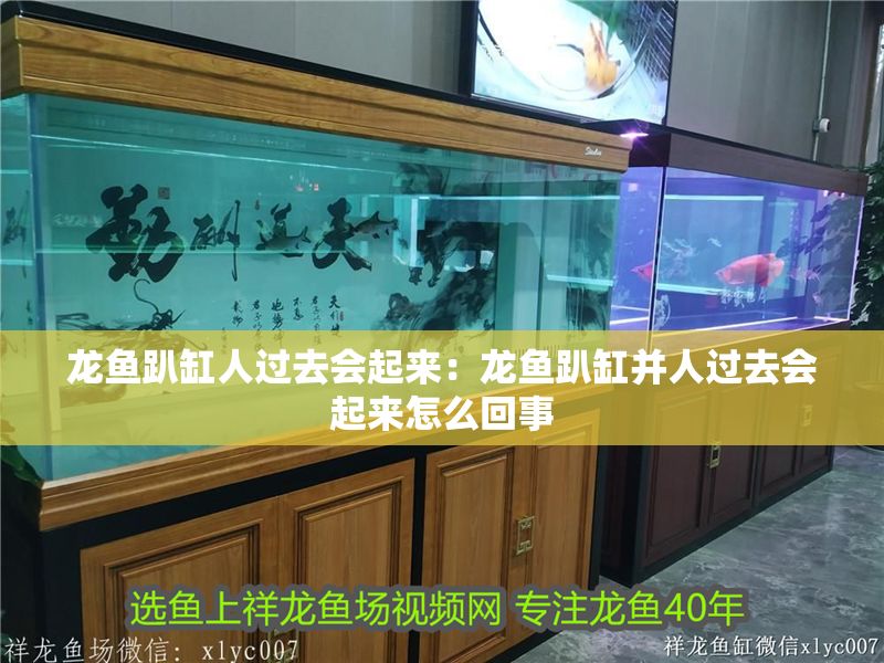 龍魚趴缸人過去會起來：龍魚趴缸并人過去會起來怎么回事