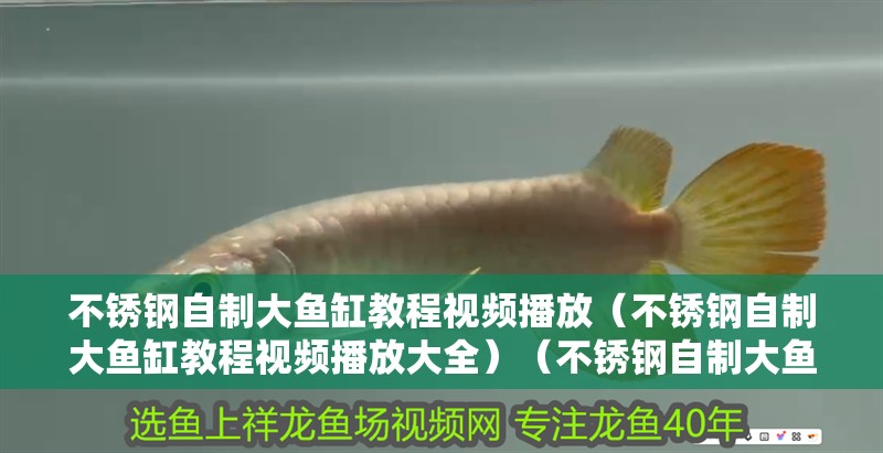 不銹鋼自制大魚缸教程視頻播放（不銹鋼自制大魚缸教程視頻播放大全）（不銹鋼自制大魚缸教程）
