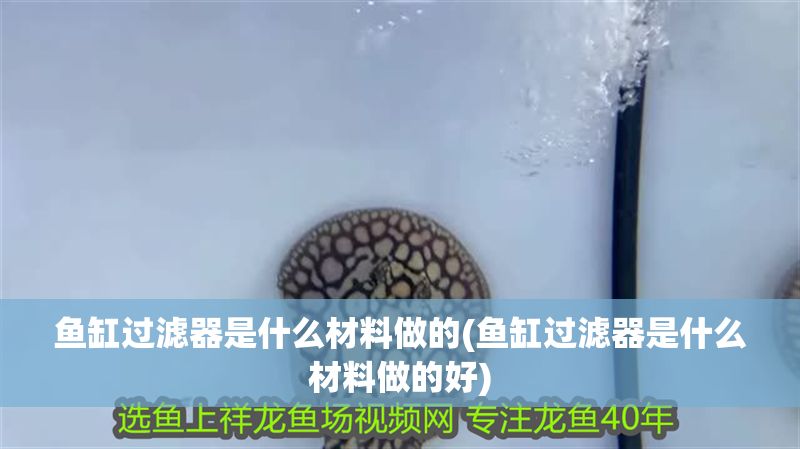 魚缸過(guò)濾器是什么材料做的(魚缸過(guò)濾器是什么材料做的好)
