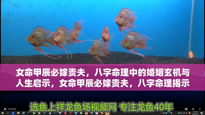 女命甲辰必嫁貴夫，八字命理中的婚姻玄機與人生啟示，女命甲辰必嫁貴夫，八字命理揭示的婚姻玄機與人生啟示