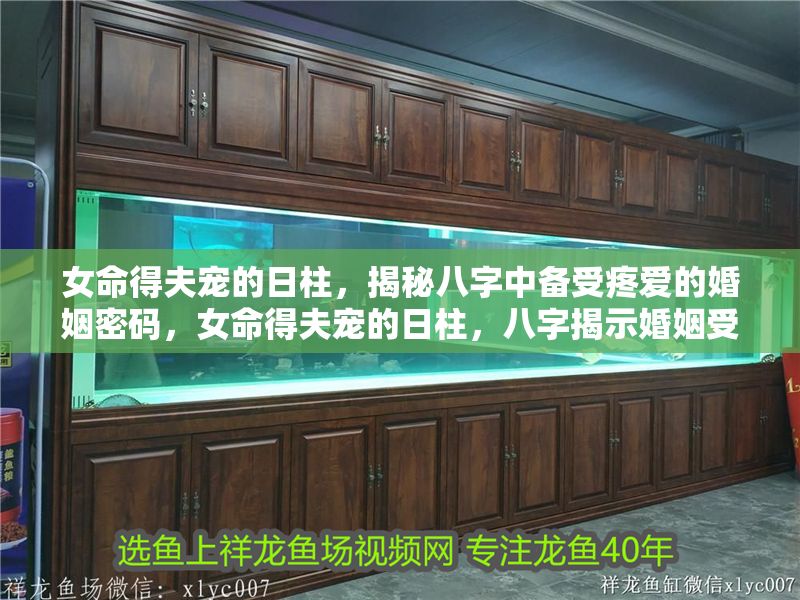 女命得夫寵的日柱，揭秘八字中備受疼愛的婚姻密碼，女命得夫寵的日柱，八字揭示婚姻受寵的命理玄機