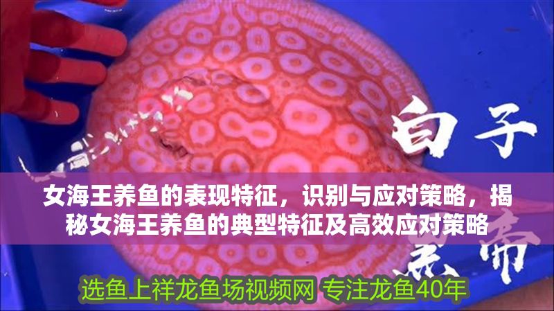 女海王養(yǎng)魚的表現(xiàn)特征，識(shí)別與應(yīng)對(duì)策略，揭秘女海王養(yǎng)魚的典型特征及高效應(yīng)對(duì)策略