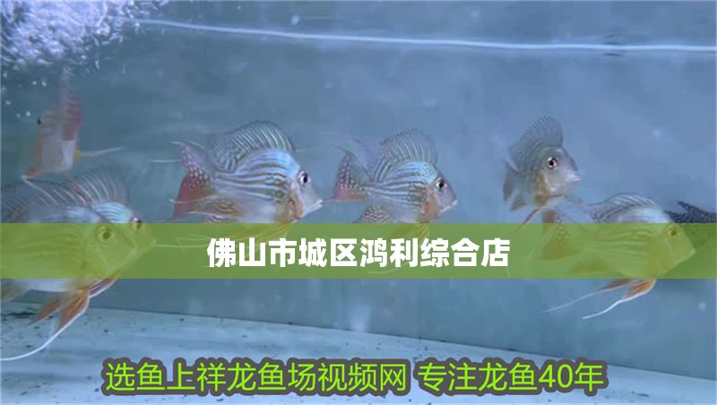 佛山市城區鴻利綜合店 全國水族館企業名錄 第1張 佛山市城區鴻利綜合店 佛山市城區鴻利綜合店 全國水族館企業名錄 第1張
