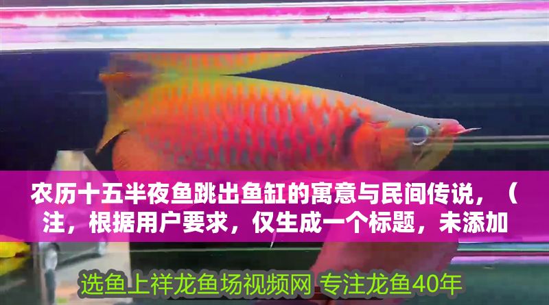 農(nóng)歷十五半夜魚跳出魚缸的寓意與民間傳說，（注，根據(jù)用戶要求，僅生成一個標(biāo)題，未添加任何額外內(nèi)容）