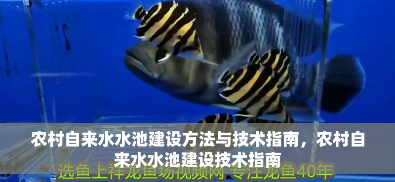 農村自來水水池建設方法與技術指南，農村自來水水池建設技術指南