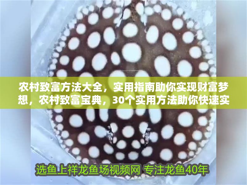 農村致富方法大全，實用指南助你實現財富夢想，農村致富寶典，30個實用方法助你快速實現財富自由