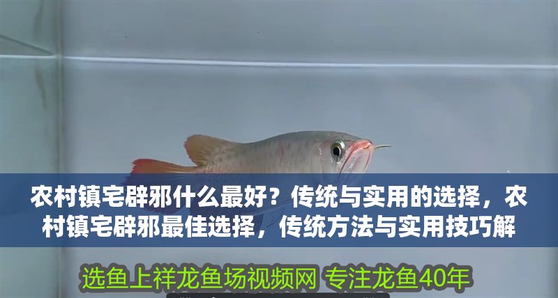 農村鎮宅辟邪什么最好？傳統與實用的選擇，農村鎮宅辟邪最佳選擇，傳統方法與實用技巧解析