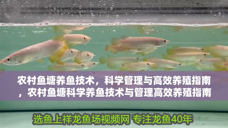 農(nóng)村魚塘養(yǎng)魚技術(shù)，科學(xué)管理與高效養(yǎng)殖指南，農(nóng)村魚塘科學(xué)養(yǎng)魚技術(shù)與管理高效養(yǎng)殖指南
