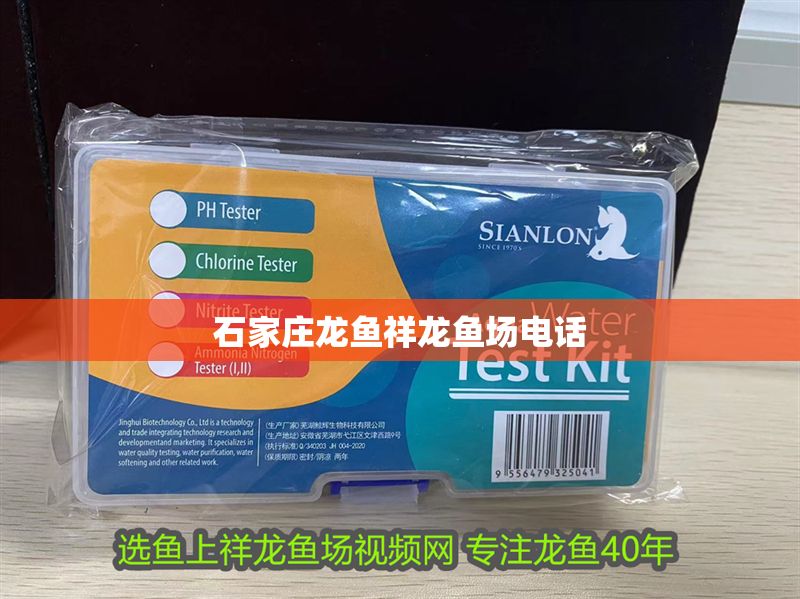 石家莊龍魚祥龍魚場電話 石家莊龍魚祥龍魚場電話 龍魚百科 第2張