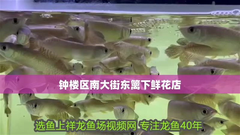 鐘樓區南大街東籬下鮮花店 全國水族館企業名錄 第1張 鐘樓區南大街東籬下鮮花店 鐘樓區南大街東籬下鮮花店 全國水族館企業名錄 第1張