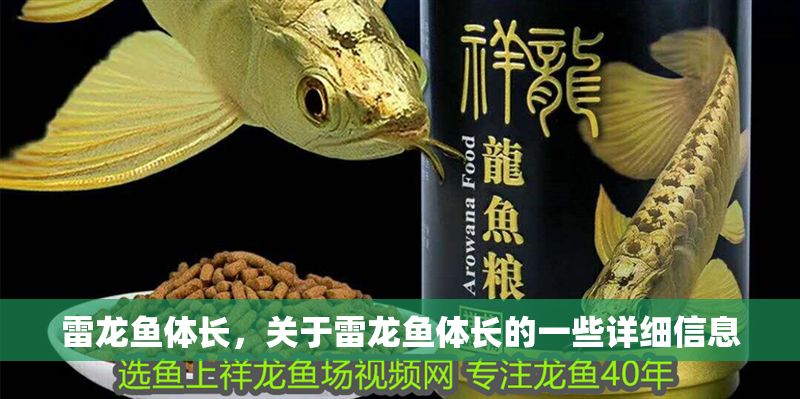 雷龍魚體長，關于雷龍魚體長的一些詳細信息