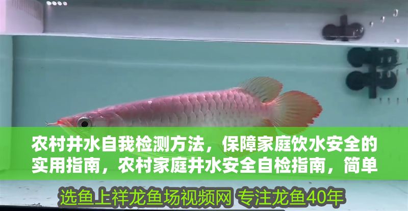 農村井水自我檢測方法，保障家庭飲水安全的實用指南，農村家庭井水安全自檢指南，簡單實用的飲水保障方法 農村井水自我檢測方法，保障家庭飲水安全的實用指南，農村家庭井水安全自檢指南，簡單實用的飲水保障方法 龍魚百科 第1張