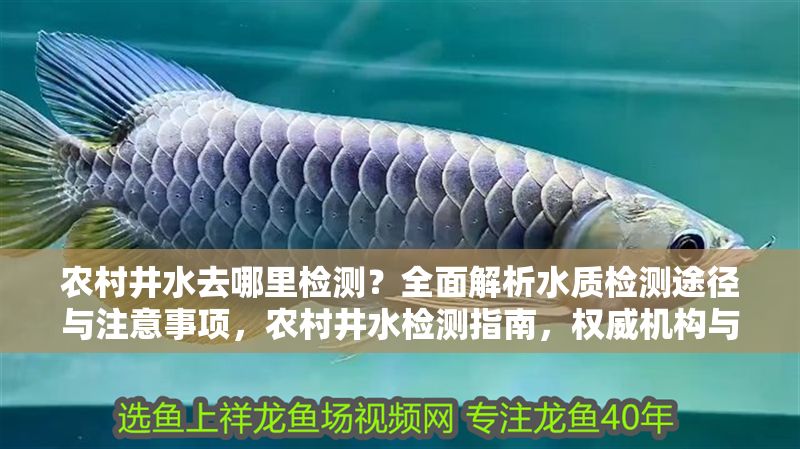 農村井水去哪里檢測?全面解析水質檢測途徑與注意事項,農村井水檢測指南,權威機構與注意事項全解析 龍魚百科 第1張 農村井水去哪里檢測?全面解析水質檢測途徑與注意事項,農村井水檢測指南,權威機構與注意事項全解析 農村井水去哪里檢測?全面解析水質檢測途徑與注意事項,農村井水檢測指南,權威機構與注意事項全解析 龍魚百科 第1張